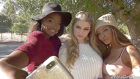 Daya Knight & September Reign & Bunny Colby - Zebra